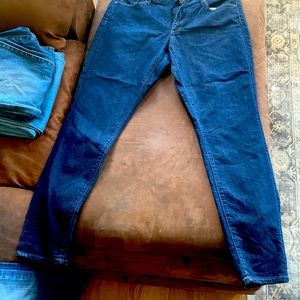 Ann Taylor loft skinny jeans